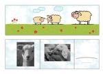 Bildmappe für Schul- und Kindergartenfotos 25 Stck....